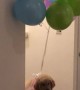 Puppy Balloon Illusion