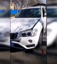 Runaway horse gallops head-on into a BMW