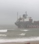 Locals flock to see Russian ship run aground by low tide