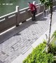 Shocking moment as Chinese man kicks cat into river