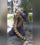 Python wraps itself around fireman’s head as safety demonstration goes wrong