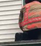 Fire Department Captain saves dog stuck on top of roof