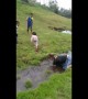 Hilarious scene as dad faceplants into a stream while throwing his children over