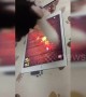 Clever cat is obsessed with playing mobile game on tablet