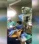Musician plays guitar during brain surgery in South Africa
