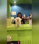 Wag that tail! Clingy Maltese puppy ecstatic to see his human