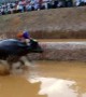 India's traditional 'kambala' buffalo race thrills spectators despite animal rights concerns