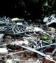 Man searches for survivors in aftermath of Indonesia tsunami