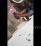 Touching moment owner rescues his tiny kitten from a drainage pipe
