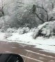 Tucson a winter wonderland as rare snow blankets Arizona city