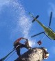 Tree Removal by Helicopter