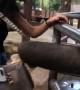 Elephant Takes Mango Filled Purse from Teen