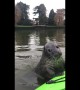 Inquisitive seal swims up to delighted kayaker on the Thames