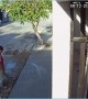 Boy Slips and Ruins Wet Concrete