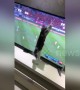 Kitten watching Asian Cup tries to catch football on TV