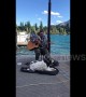 Dog sings along with his busking human