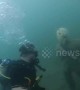 Fake skeleton, grandfather clock in strange underwater Arizona world