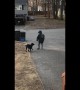 Touching footage of a dog greeting his owner off of the school bus