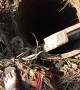 Dog Rescued from a Deep Dark Hole