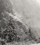 'Fairytale' scene as beautiful clip shows heavy snowfall in Caucasus mountains