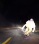 Skilled Nighttime Downhill Skateboarding