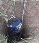 Heartwarming moment mother dog and puppy are rescued from abandoned well after crying for help for three days