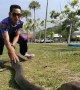 Fearless fireman shows how to catch a 16ft king cobra with bare hands