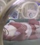 China's first baby born from transplanted womb