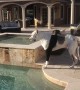 Great Dane expresses his displeasure after not being allowed to swim
