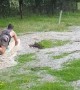 Surfing Down a Flooded Hillside