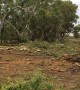 Aftermath of Mini Tornado in Strathmerton