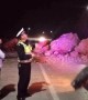 Coach crashes into giant fallen rocks after landslide in China