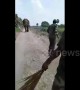 Officials have close encounter with rogue elephant