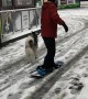 Doggy Powered Snowboard