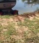 Semi Smashes Through Fence into Body of Water