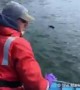 Sea otter pup happily reunited with its mother