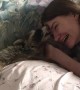 Raccoon Requires All the Love