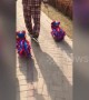 Man in China walks two Frenchies dressed in lion dance costumes