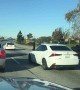 Runaway Dog on Busy California Freeway
