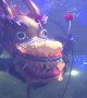 Underwater dragon dance at Chinese aquarium to welcome Lunar New Year
