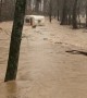 Camper Gets Swept Away By Floodwaters