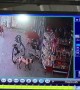 Cheeky dogs caught stealing crisps from shop