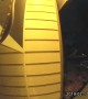 Doorbell Camera Catches Light Streaking Across Sky