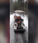 Dog goes for a Spin on Golf Cart