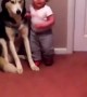 Toddler Terrified of Vacuum Runs to Dog for Protection