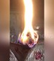 Bizarre video shows burning log that looks just like a dog