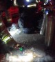 Firefighters revive dog using CPR