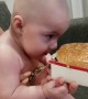Baby stares hungrily at Big Mac during midnight feed