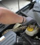 Driver left in shock after finding large python curled up in his car engine