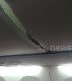 Passengers terrified as live SCORPION crawls out of luggage compartment on plane